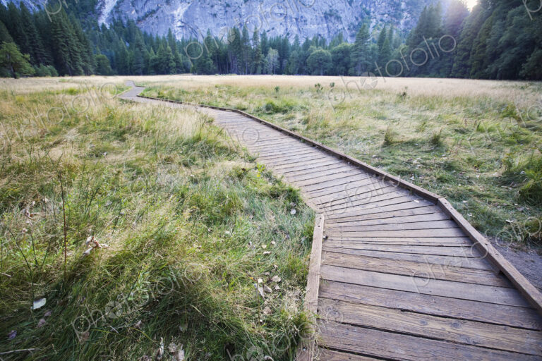 Wooden Footpath