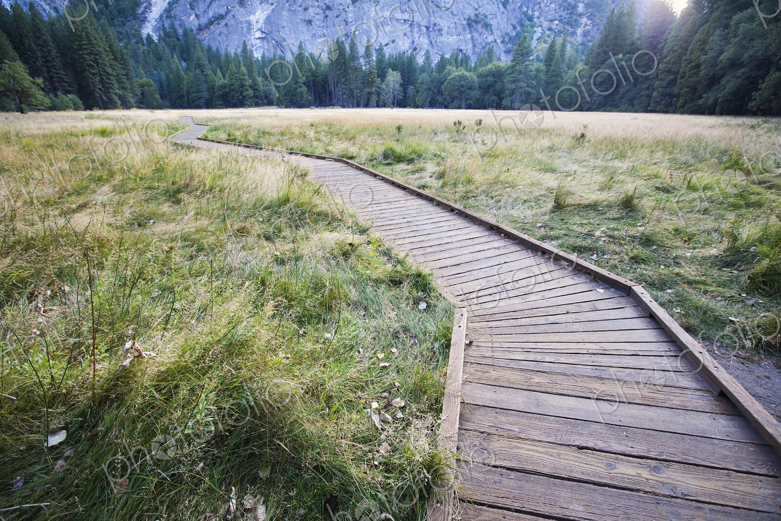 Wooden Footpath