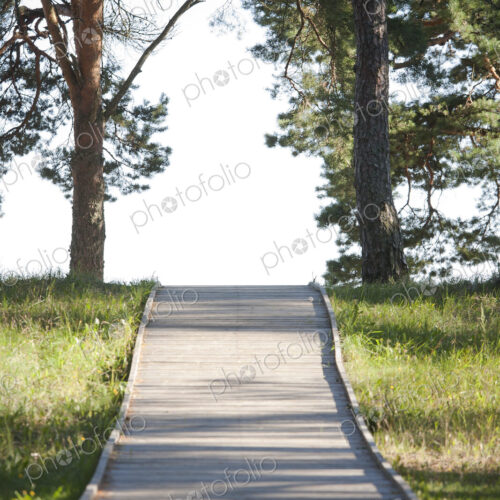 Wooden Footpath Through a Park