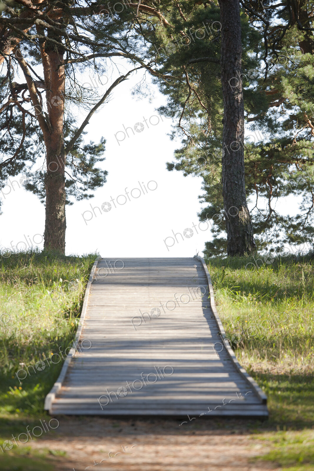 Wooden Footpath Through a Park