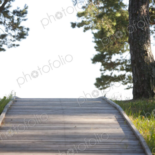 Wooden Footpath Through a Park