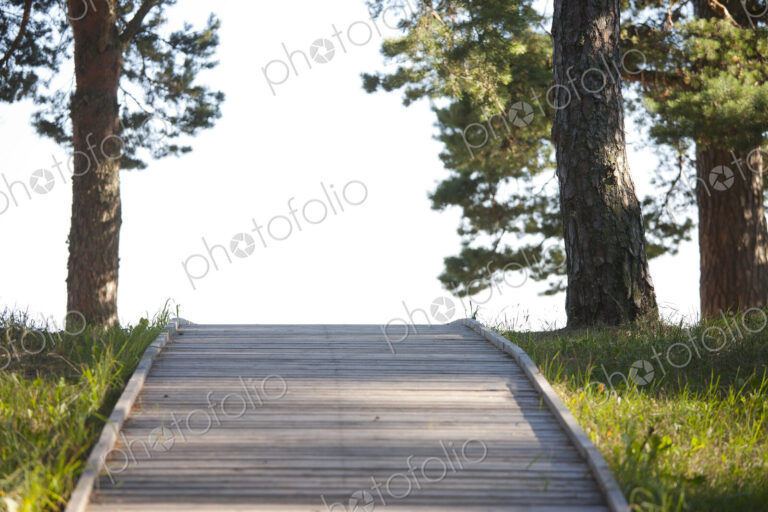 Wooden Footpath Through a Park