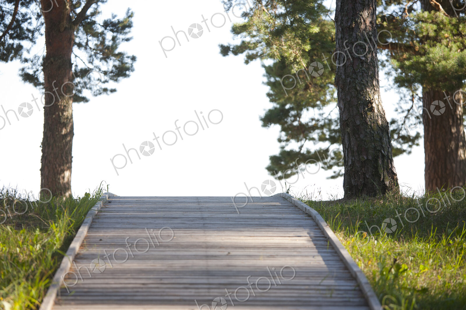 Wooden Footpath Through a Park