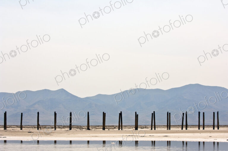 Wooden Posts