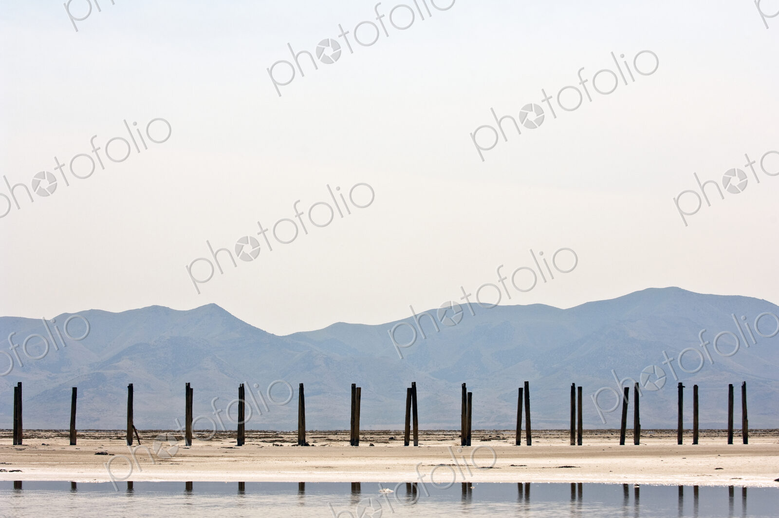 Wooden Posts