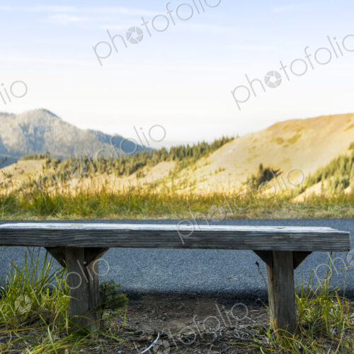 Wooden bench along pathway with views of the mountains, Hurricane Ridge, Olympic…