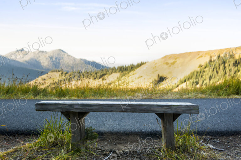 Wooden bench along pathway with views of the mountains, Hurricane Ridge, Olympic…