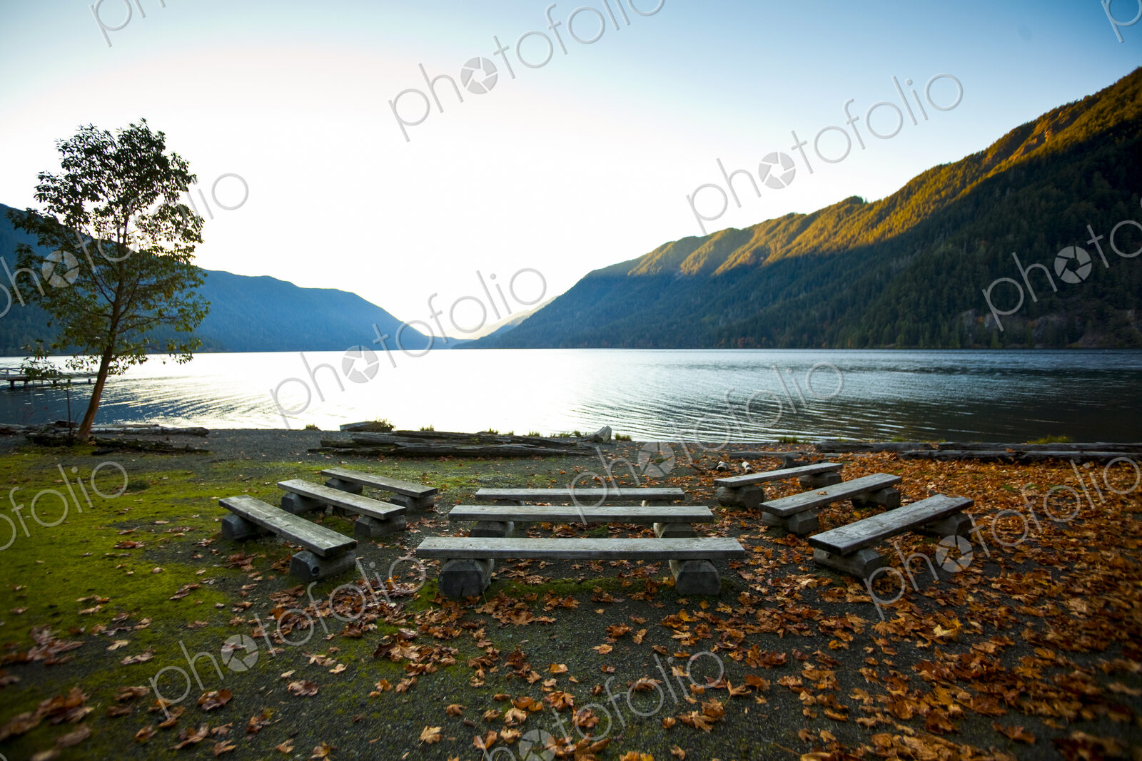 Wooden benches along Lake Crescent, Olympic National Park, WA USA