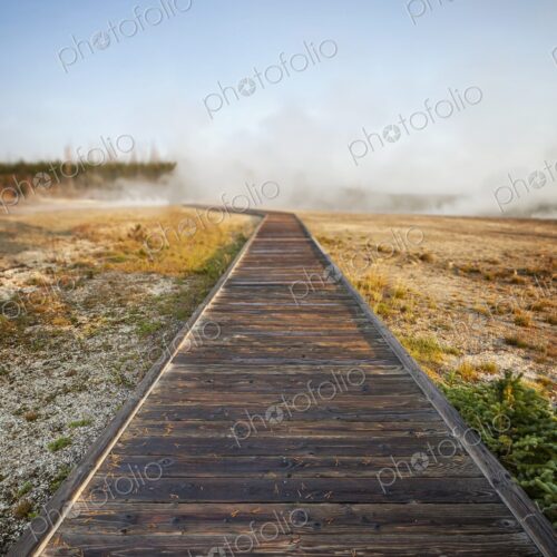 Wooden boardwalk leads into steam rising from geothermal hot springs in Yellowstone's… Wooden boardwalk leads into steam rising from geothermal hot springs in Yellowstone's…