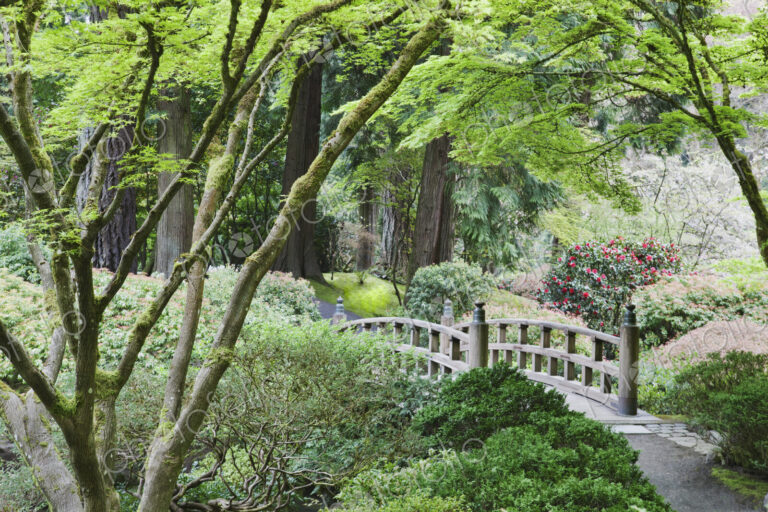 Wooden bridge in Japanese Garden, Portland, Oregon, United States