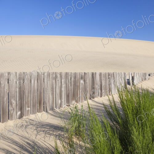 Wooden fence and green shrubs on sand dune
