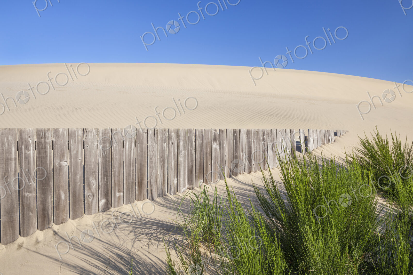 Wooden fence and green shrubs on sand dune