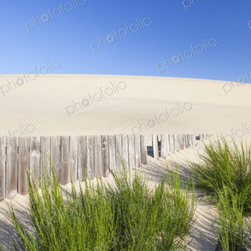 Wooden fence and green shrubs on sand dune