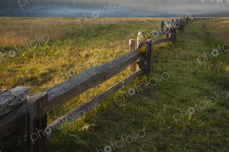 Wooden fence in rural landscape