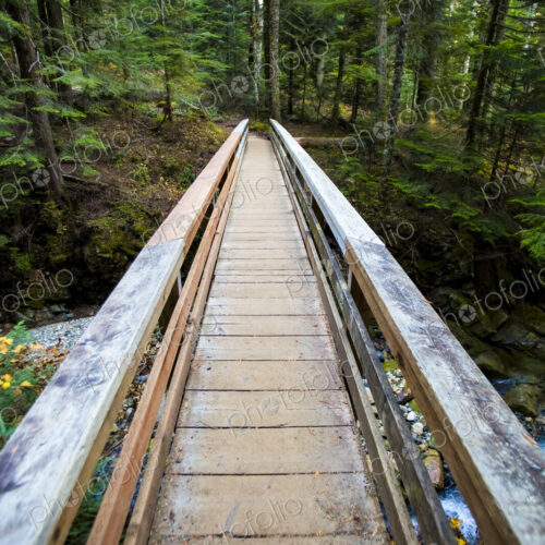 Wooden foot bridge, Snoqualmie National Forest, view from above. Wooden foot bridge, Snoqualmie National Forest, view from above.