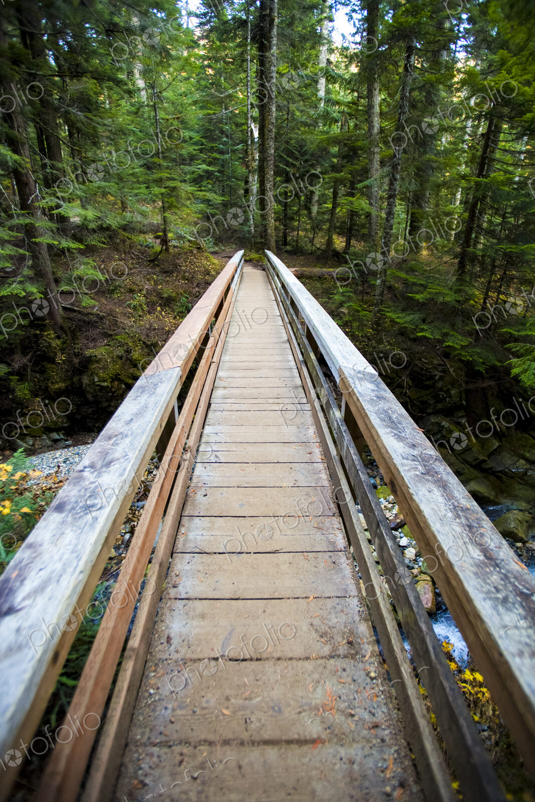Wooden foot bridge, Snoqualmie National Forest, view from above.