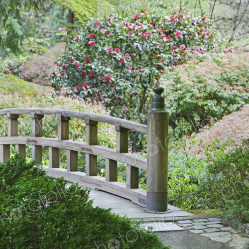 Wooden footbridge in Japanese Garden, Portland, Oregon, United States Wooden footbridge in Japanese Garden, Portland, Oregon, United States