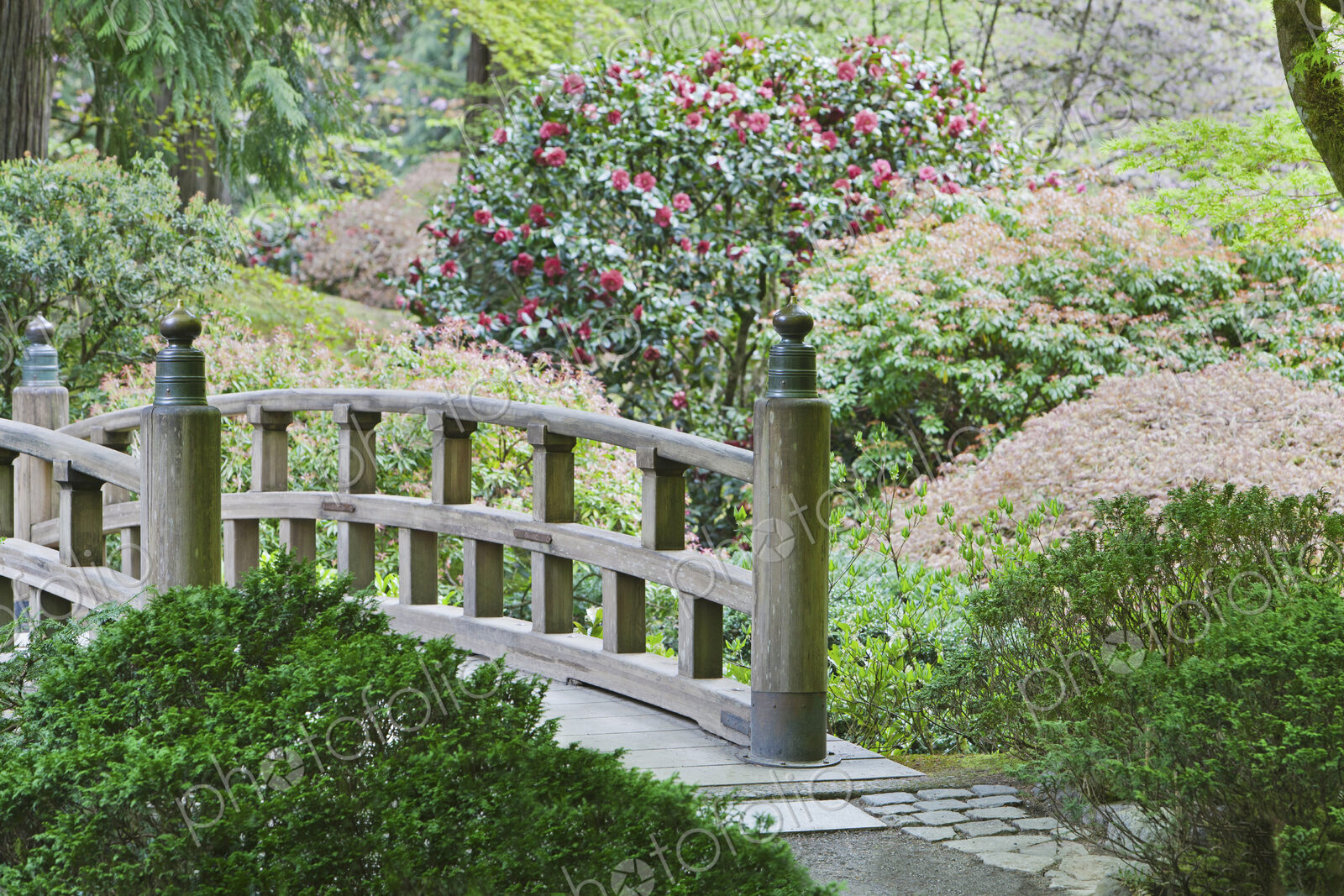 Wooden footbridge in Japanese Garden, Portland, Oregon, United States