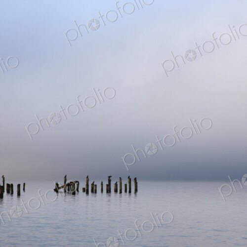 Wooden poles in ocean under cloudy sky