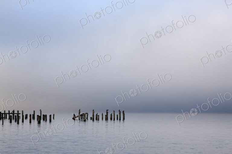 Wooden poles in ocean under cloudy sky