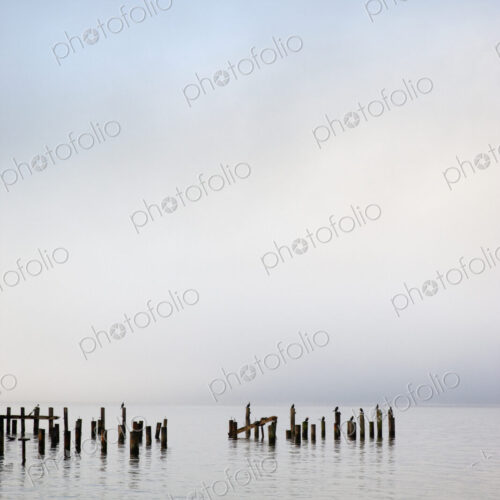 Wooden poles in ocean under cloudy sky