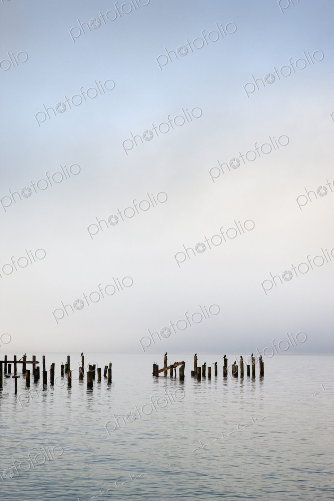 Wooden poles in ocean under cloudy sky