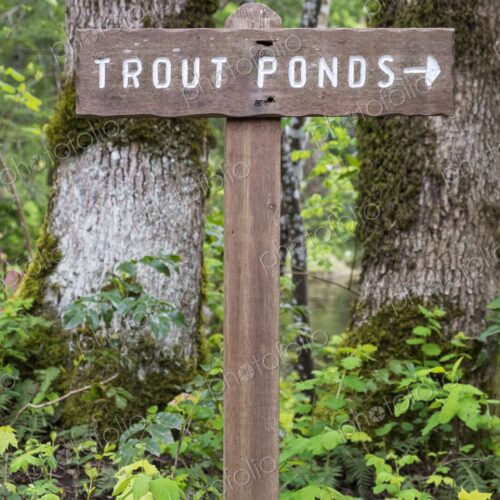 Wooden sign points toward the trout ponds at Bonneville Dam Fish Hatchery in Oregon,…