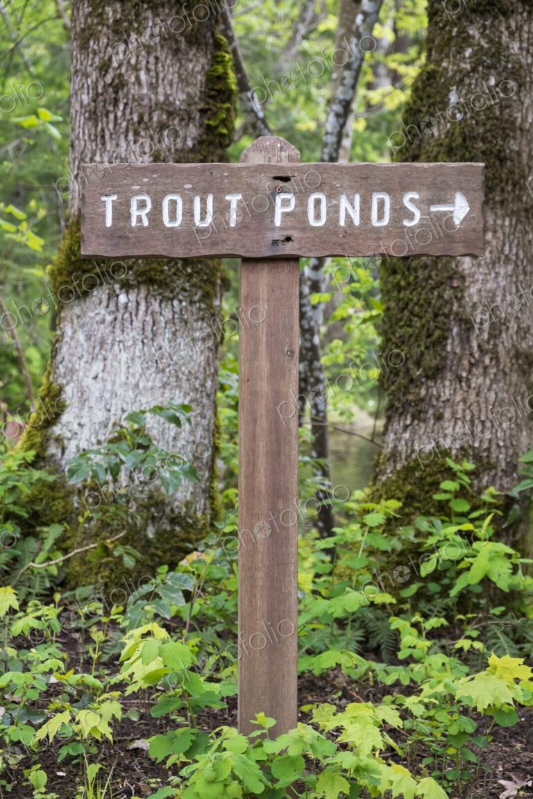 Wooden sign points toward the trout ponds at Bonneville Dam Fish Hatchery in Oregon,…
