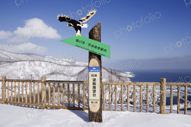 Wooden sign post in winter landscape.