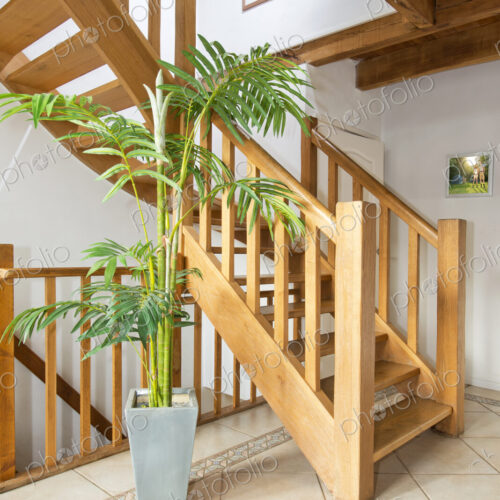 Wooden staircase and potted plant in modern home