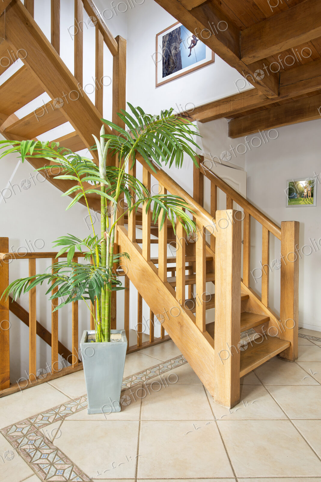 Wooden staircase and potted plant in modern home
