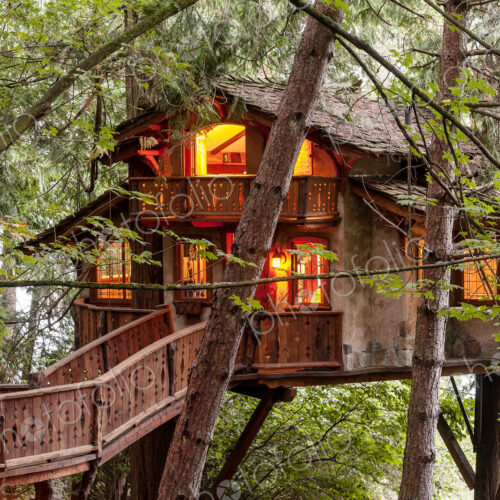 Wooden walkway to illuminated tree house Wooden walkway to illuminated tree house