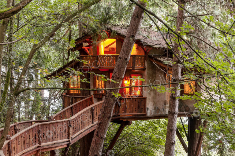 Wooden walkway to illuminated tree house