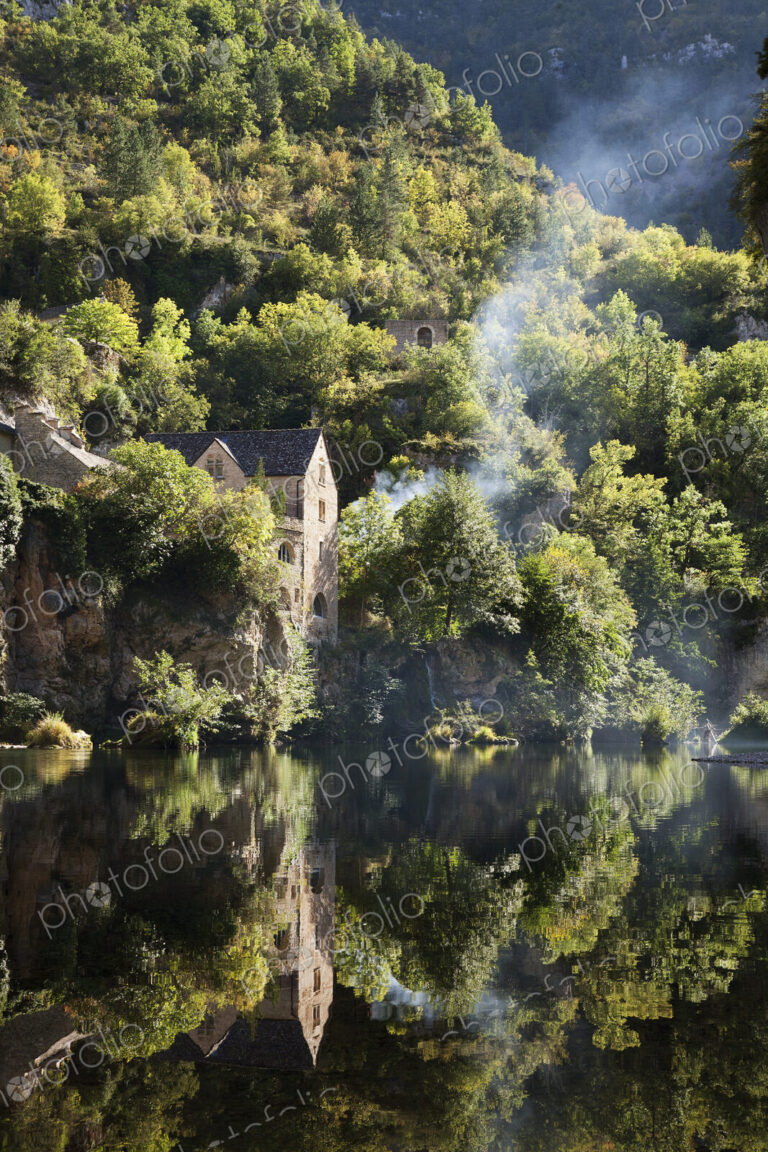 Woodland, and a thin stream of rising woodsmoke, elevated view of river