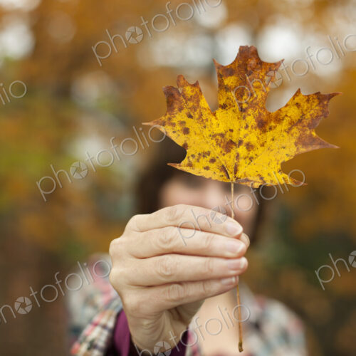 Woodland in autumn. A woman holding an autumnal leaf, a maple leaf in her hand. Woodland in autumn. A woman holding an autumnal leaf, a maple leaf in her hand.