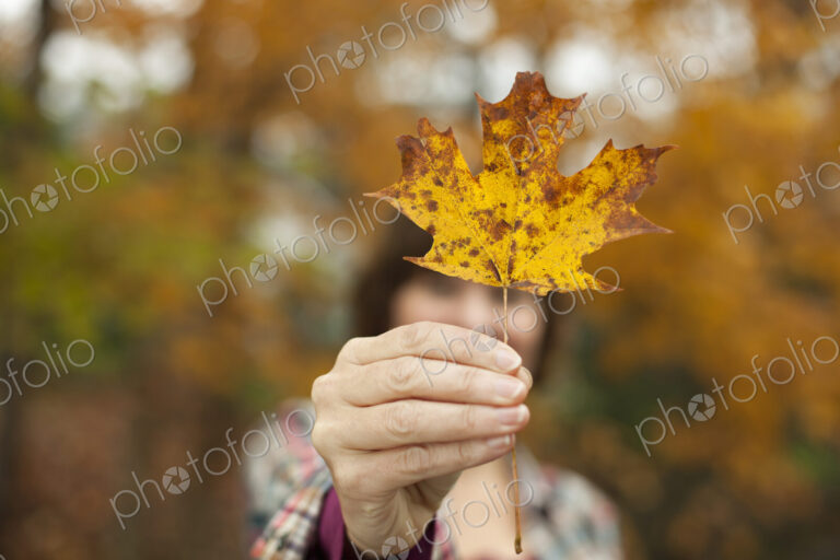 Woodland in autumn. A woman holding an autumnal leaf, a maple leaf in her hand.