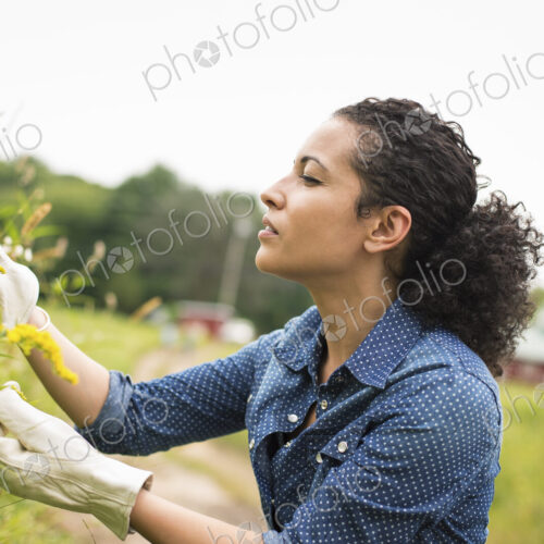 Working on an organic farm. Working on an organic farm.