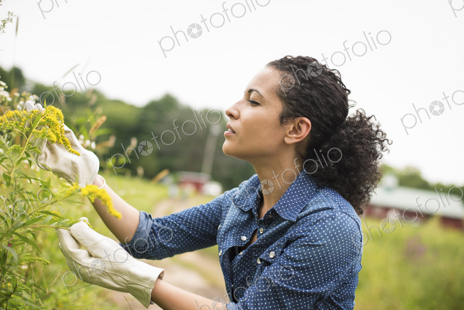 Working on an organic farm.