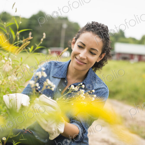 Working on an organic farm. Working on an organic farm.
