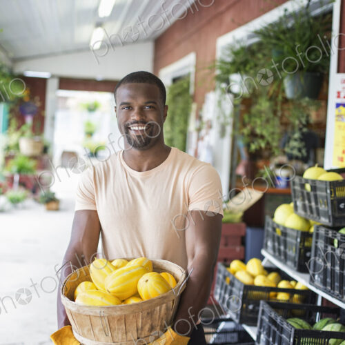Working on an organic farm. A man carrying a large basket of yellow squash vegetables.… Working on an organic farm. A man carrying a large basket of yellow squash vegetables.…