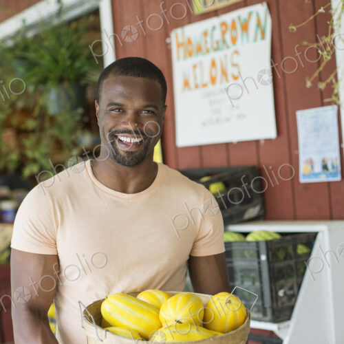 Working on an organic farm. A man carrying a large basket of yellow squash vegetables.… Working on an organic farm. A man carrying a large basket of yellow squash vegetables.…