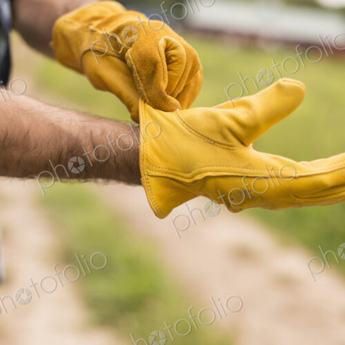 Working on an organic farm. A man putting thick yellow leather work gloves on. Working on an organic farm. A man putting thick yellow leather work gloves on.