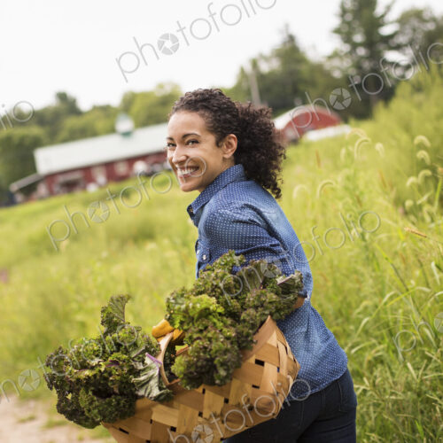 Working on an organic farm. A woman carrying a basket overflowing with fresh green…
