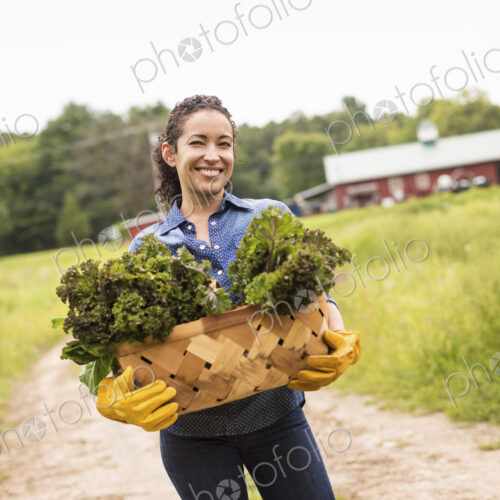 Working on an organic farm. A woman holding a basket full of fresh green vegetables,… Working on an organic farm. A woman holding a basket full of fresh green vegetables,…