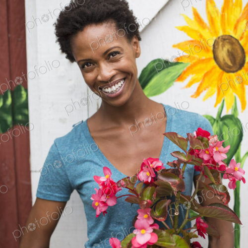 Working on an organic farm. A woman holding a large flowering plant, a begonia with…