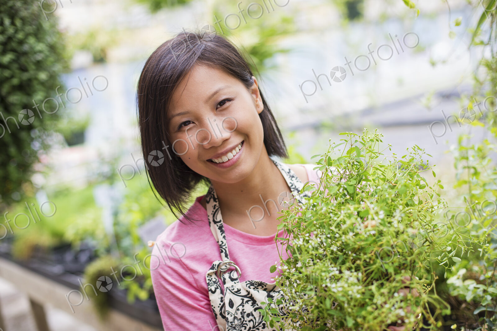 Working on an organic farm. A woman tending young plants in a glass house.
