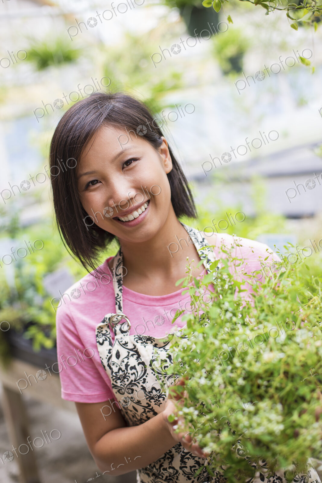 Working on an organic farm. A woman tending young plants in a glass house.