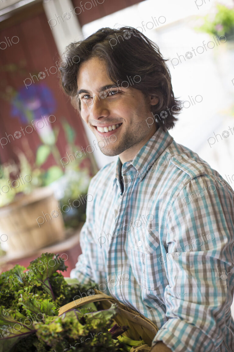 Working on an organic farm. A young man sorting lettuce.