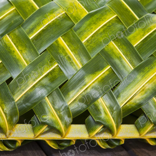 Woven Tropical Leaves Woven Tropical Leaves