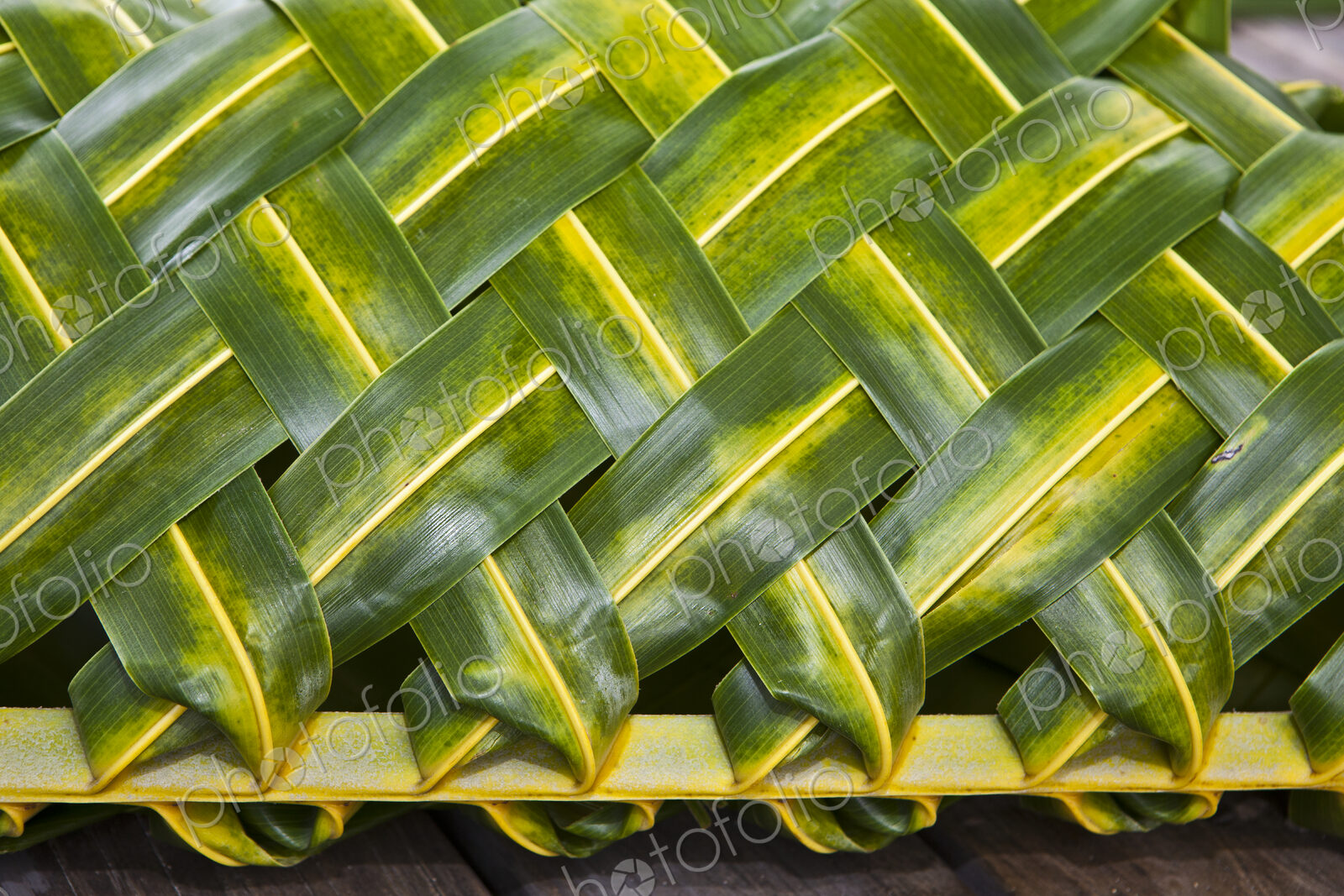Woven Tropical Leaves